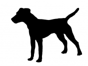 dog-silhouette-parson-russel-terrier