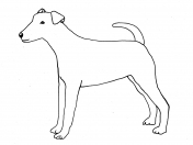 dog_line_drawing