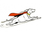 krypto_swan